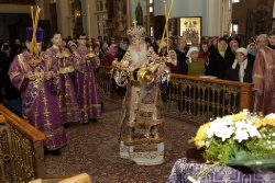 _MG_4992 - �����